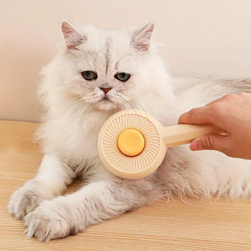 Pet Pumpkin Swirl Brush