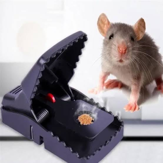 Quick-Set Mouse Trap