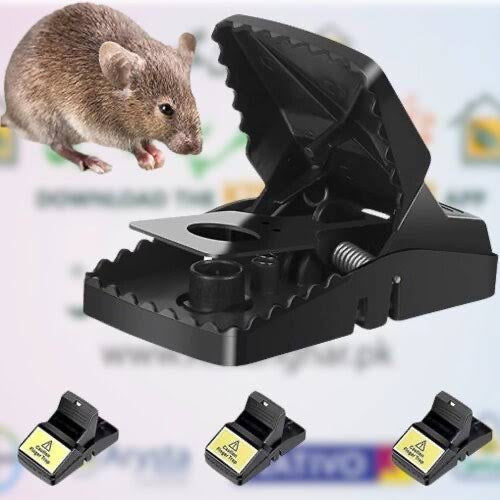 Quick-Set Mouse Trap