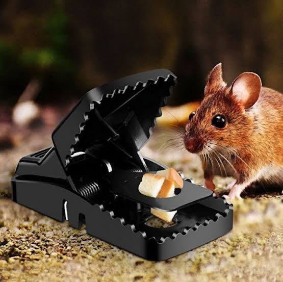 Quick-Set Mouse Trap